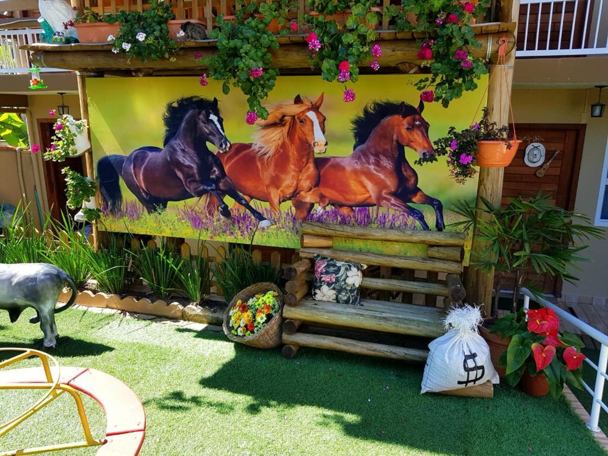 Pousada Alegria Do Cowboy เปงญา ภายนอก รูปภาพ